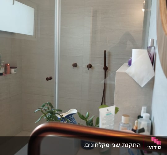 מקלחת עם אביזרי רחצה וצמחים